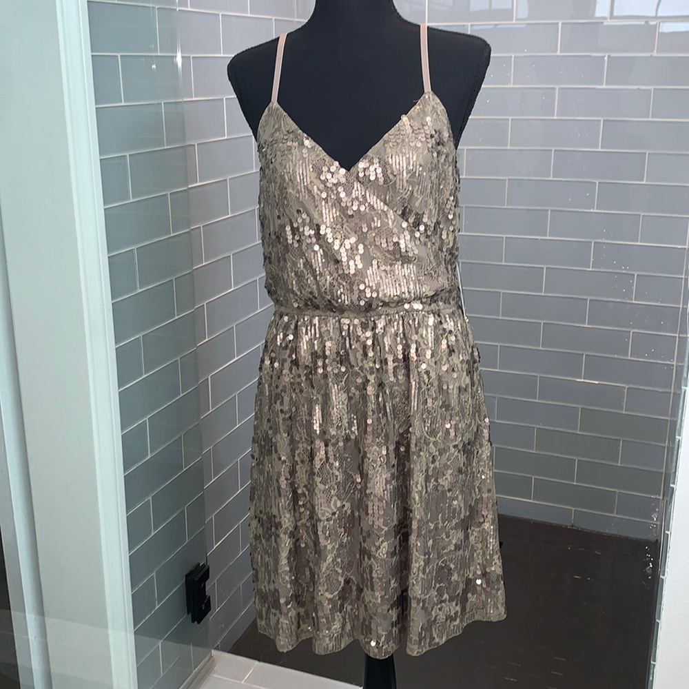 Express Large Pewter Dress